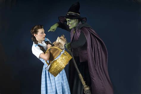Dorothy and the villainous witch